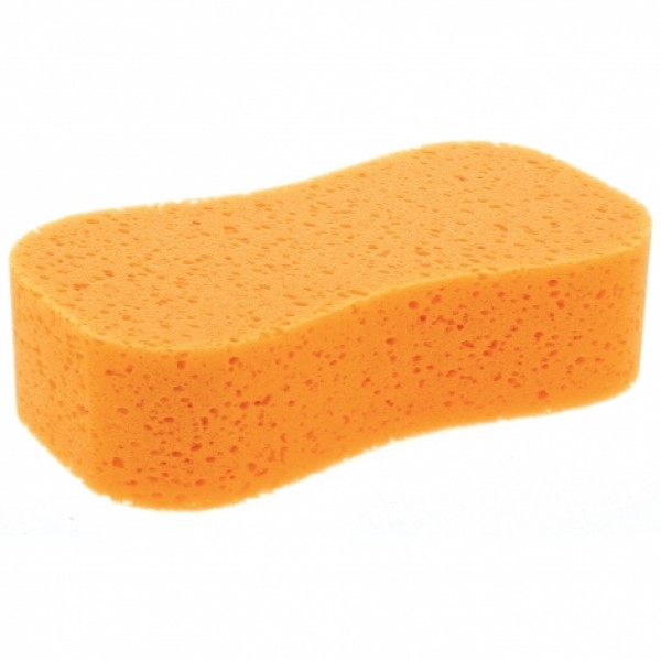 Esponja