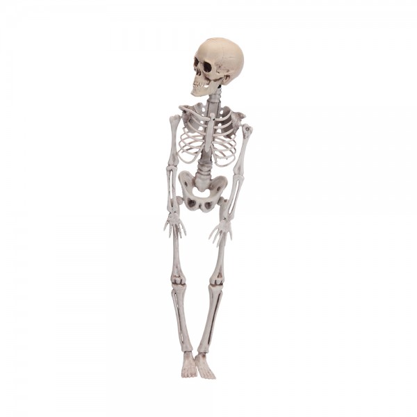 Figura esqueleto halloween 42 cm