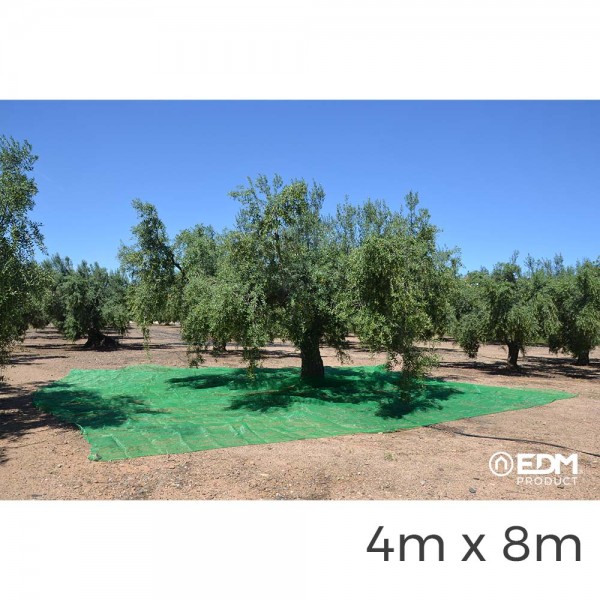 Manto para recolecta de frutos 4 x 8 m color verde